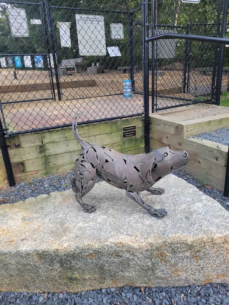 Provincetown Adds Beaches and Plenty of Dog-Friendly Fun