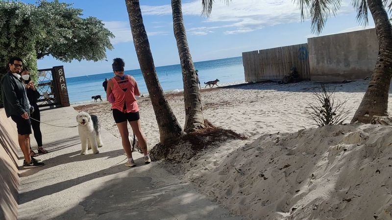 Key West Dog Beach, Key West