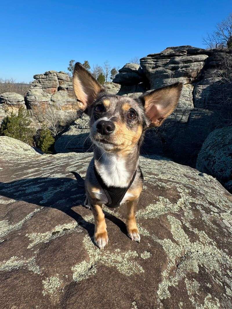 Golconda to Garden of the Gods Recreation Area