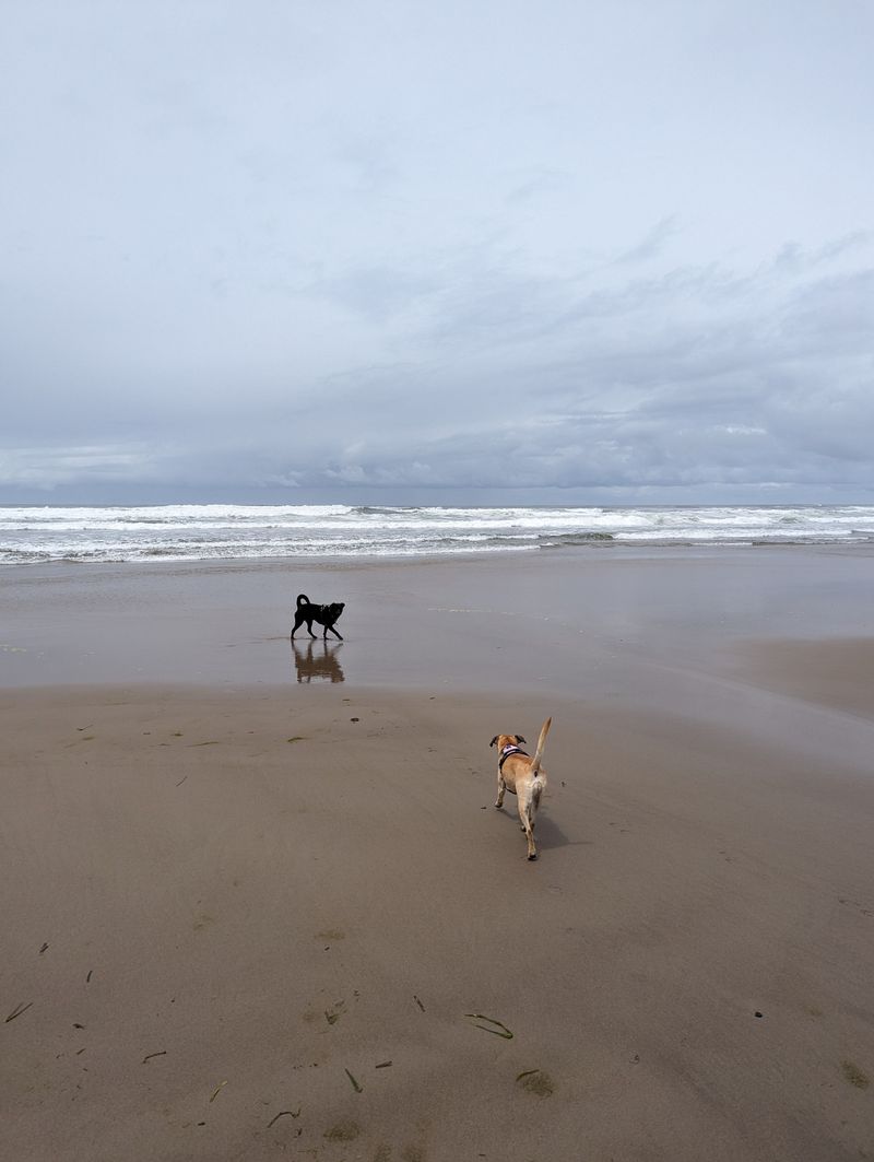 Choose A Safer Spot For Beach Play