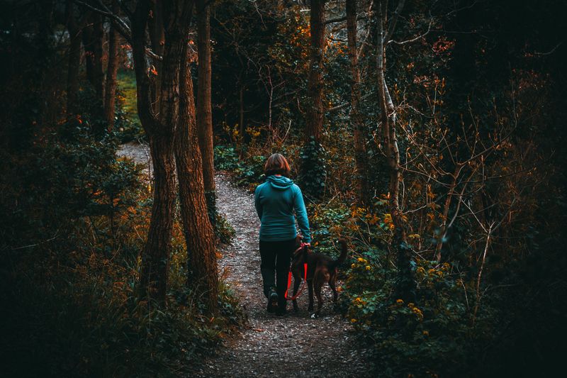 Keep Your Dog Close Near Wildlife Areas