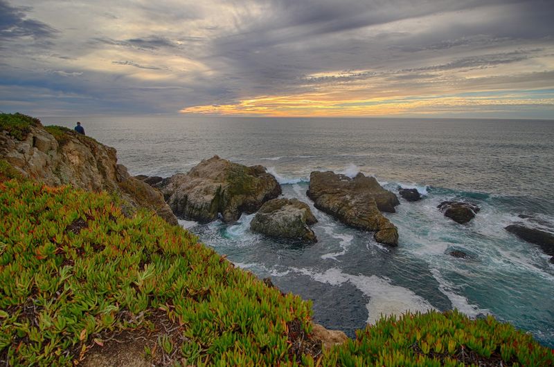 Sonoma Coast and Bodega Bay