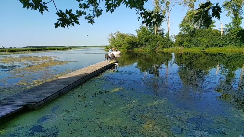 Chain O' Lakes State Park and the Fox Lake Area