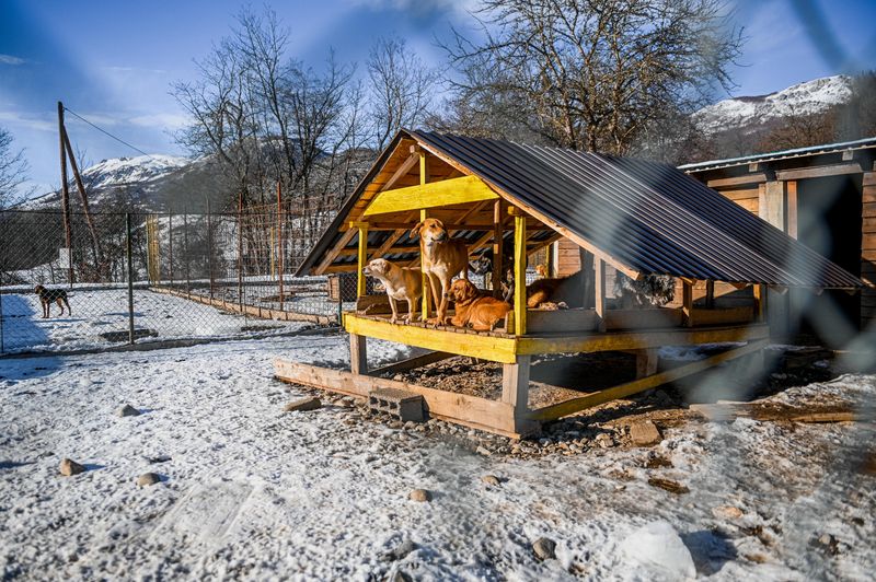 Outdoor Shelters Have Real Standards