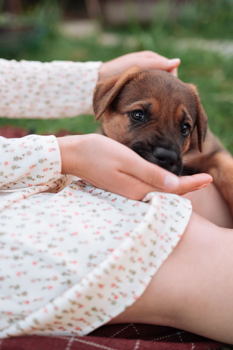 Puppies May Need Extra Attention