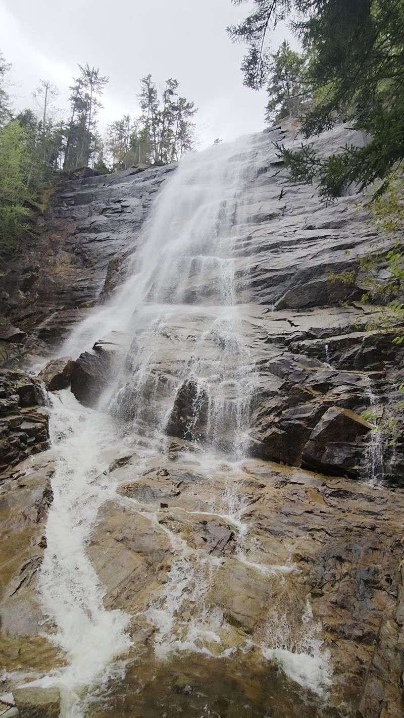 Arethusa Falls Trail: The Tall One