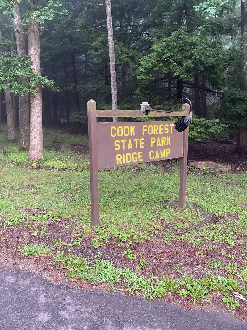 Ridge Campground at Cook Forest State Park