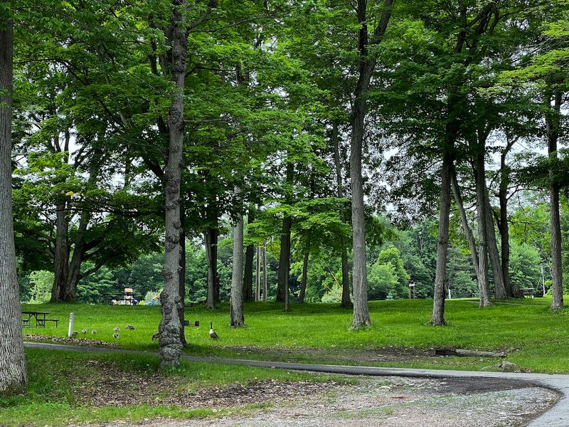 Spend a Dog-Friendly Weekend on Wellesley Island