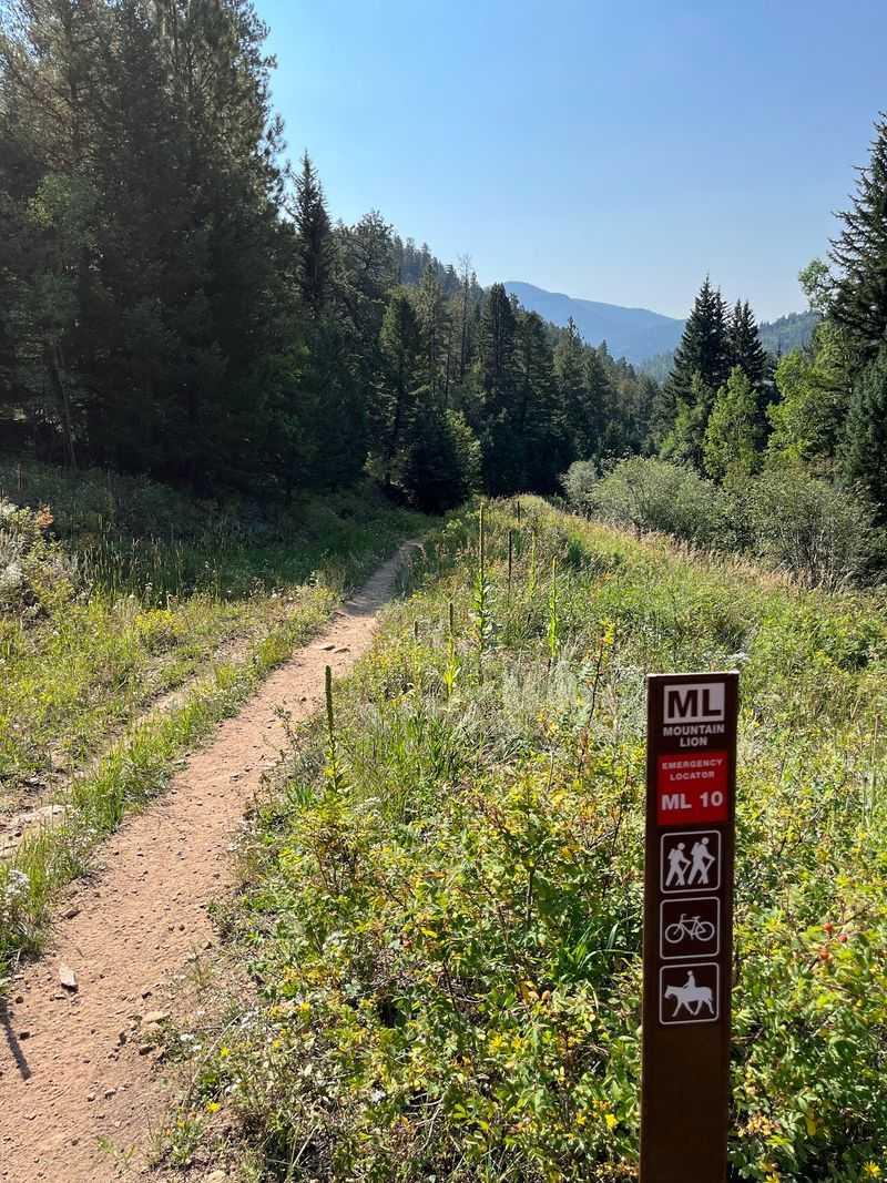 Mountain Lion Trail: A Loop Worth The Legs