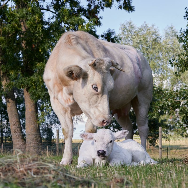 Mothers With Newborns Deserve Wide Berth