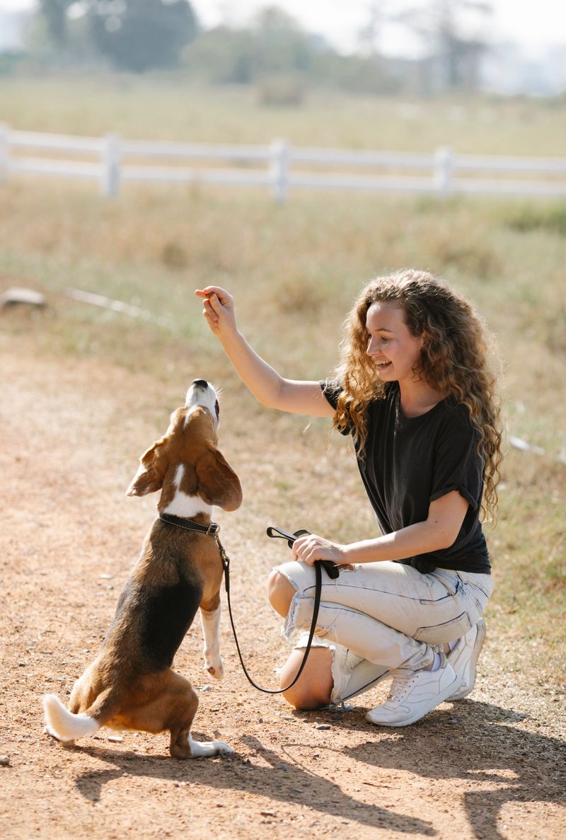 Teach Your Dog to Stay Close