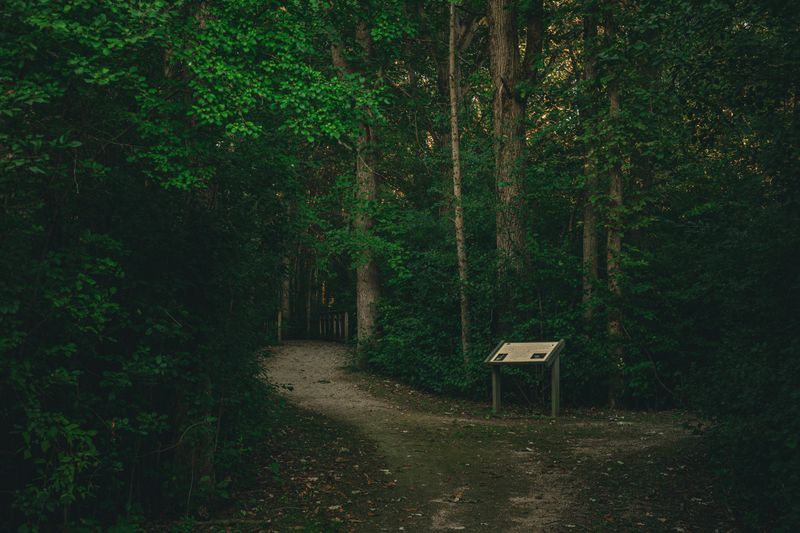 Know Where Your Dog Can Roam