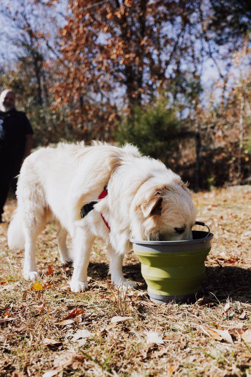 Bring Fresh Water Beyond What The Lake Provides
