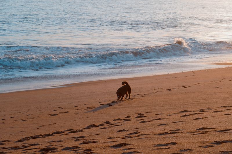Avoid the Busiest Beach Hours