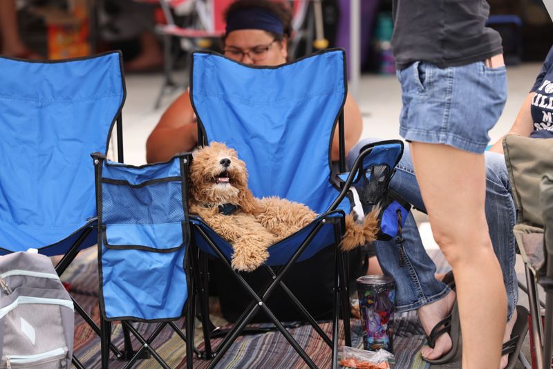 Avoid Crowded Fourth of July Events With Your Dog