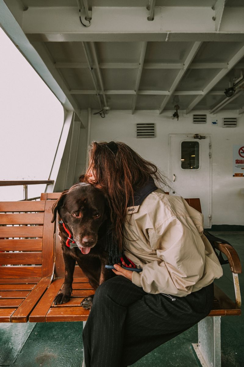 Book Early For Pet-Friendly Travel