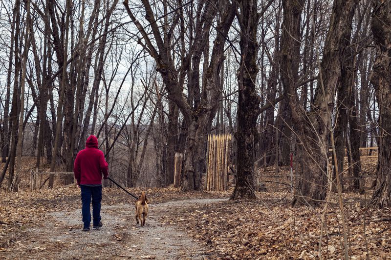 Look For Pet-Friendly Lodging Units