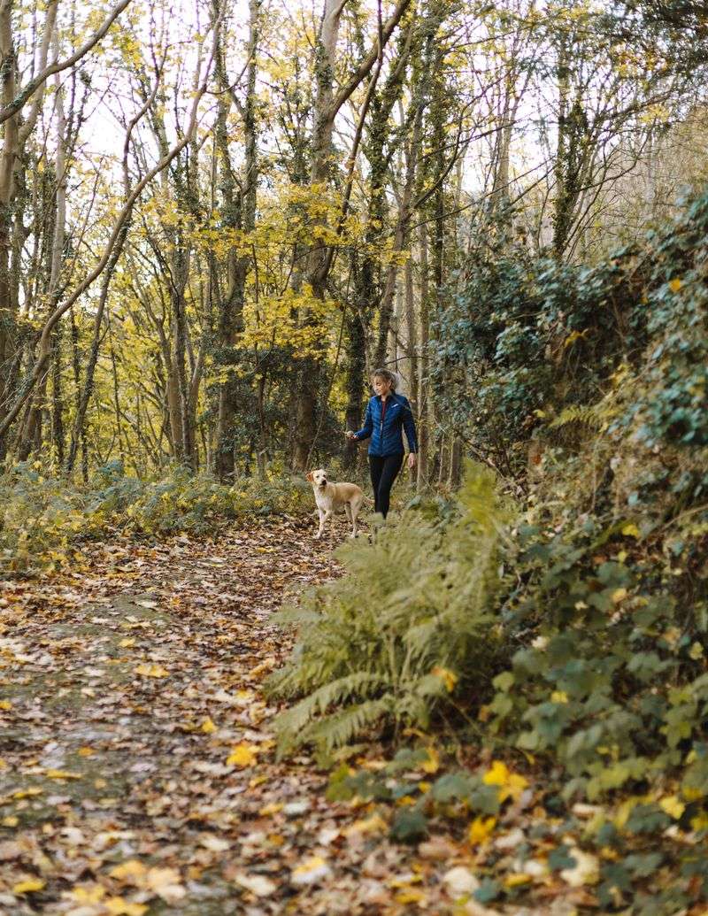 Enjoy Georgia Trails With Awareness