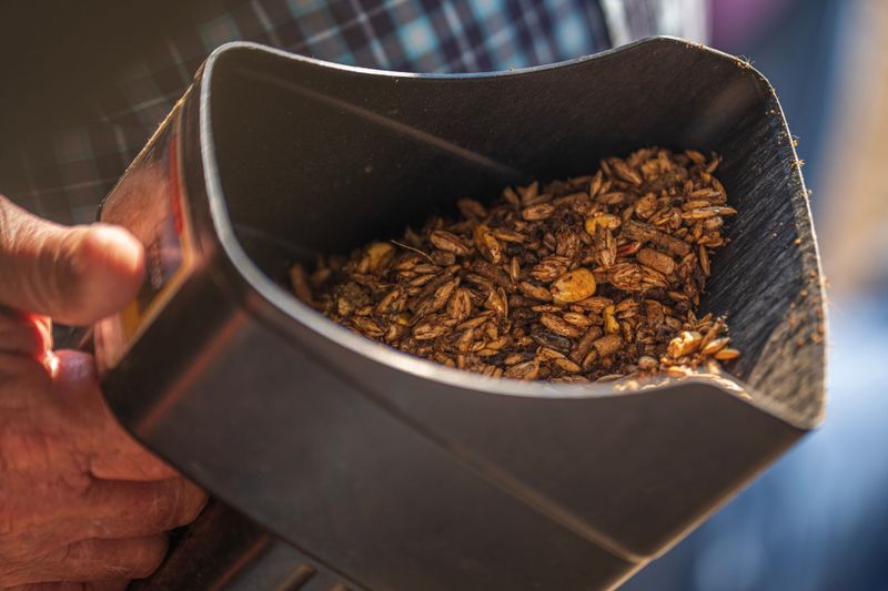 Secure Food And Outdoor Attractants