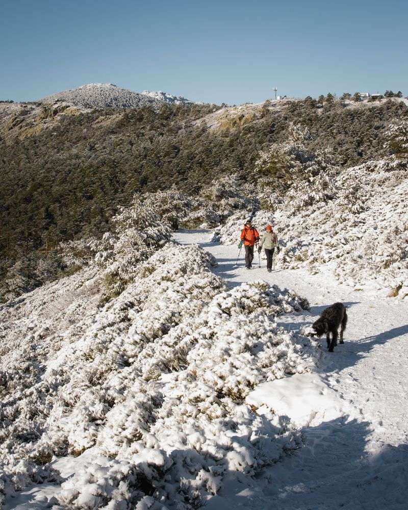 Turning Around Beats Chasing the Summit