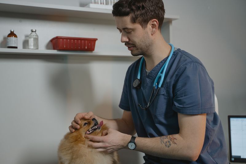 Contact Your Veterinarian After Any Physical Contact