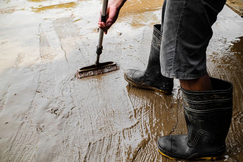 Clean Muddy Floors Before Your Dog Roams Inside