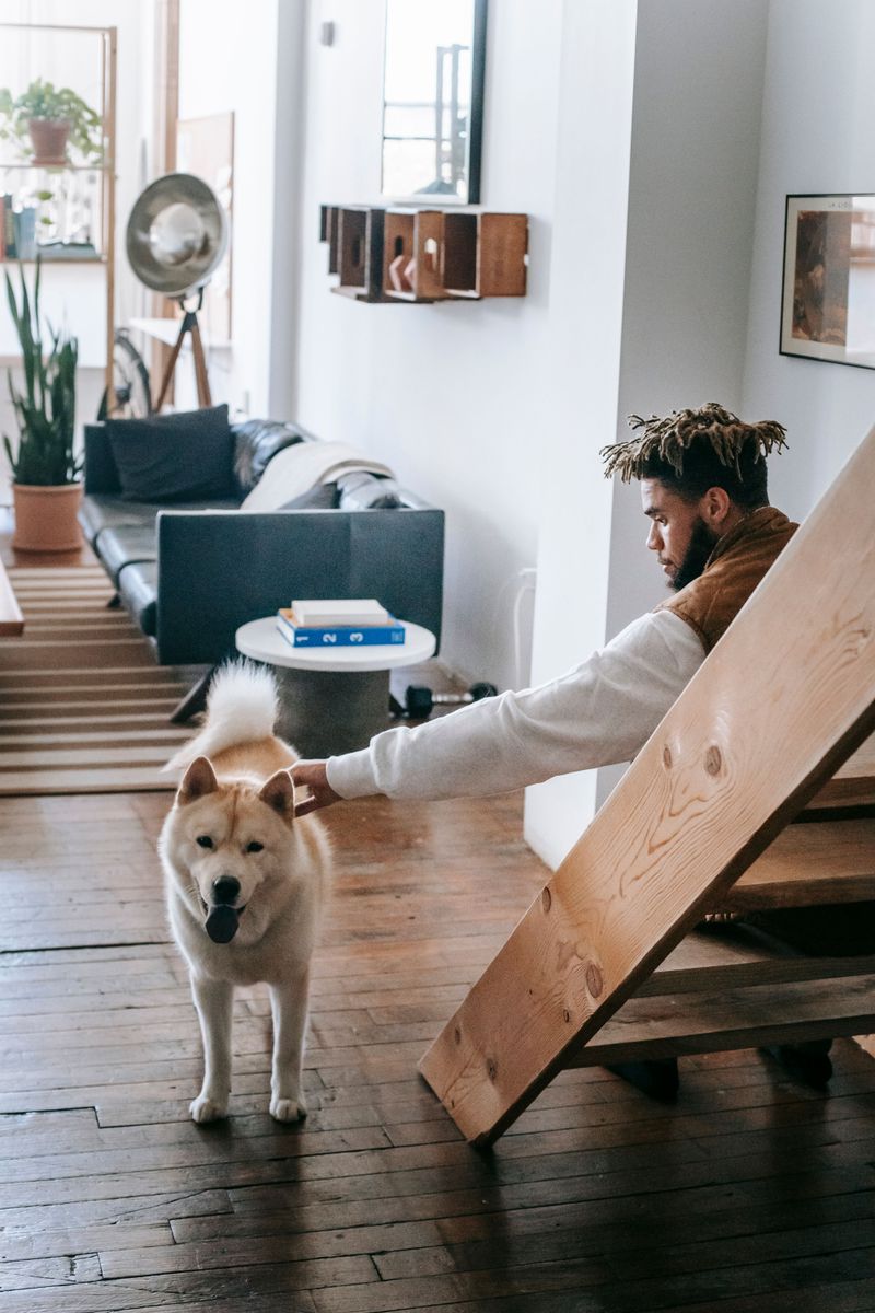 Landlords Can Set Reasonable Pet Rules for Ordinary Household Pets