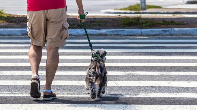 Check the Rules Before Crossing Jurisdictions