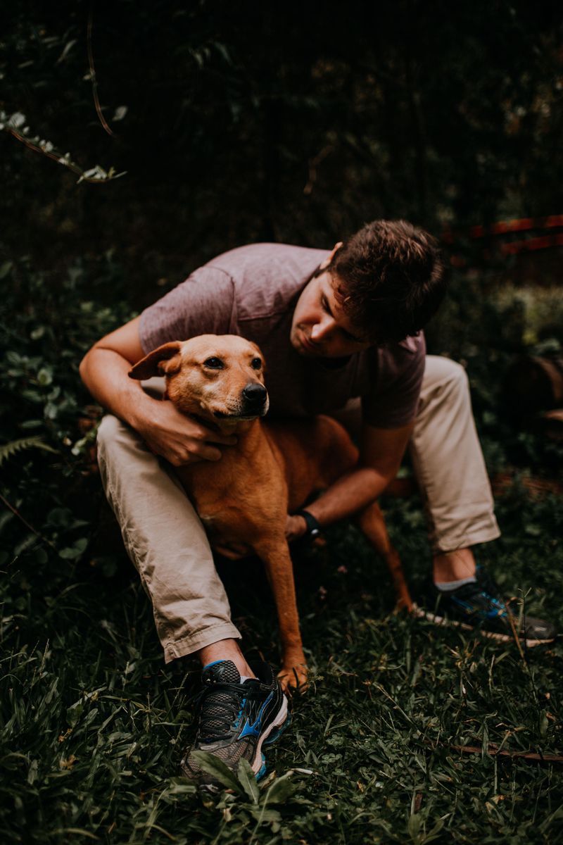 Keep a quilled dog calm and still