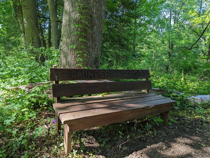 Saunders Woods Preserve, Gladwyne