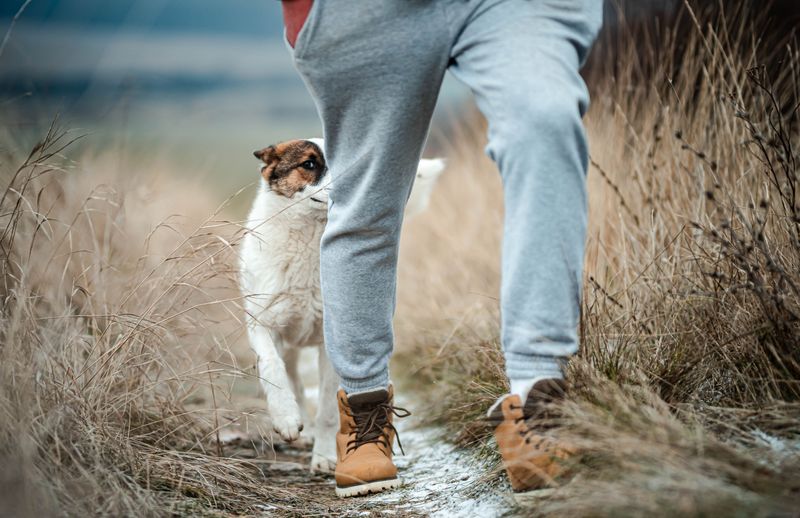 Clothing Can Carry Ticks Home