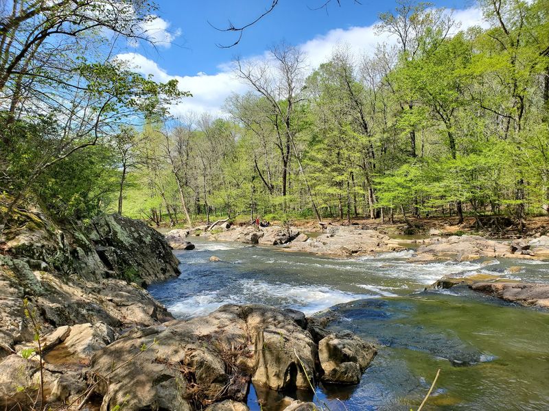Eno River State Park