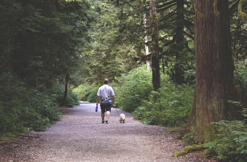 Skip Strenuous Runs When Smoke Is Thick