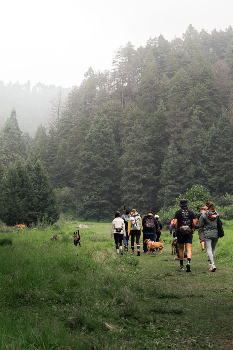 Hiking With Others Adds Awareness