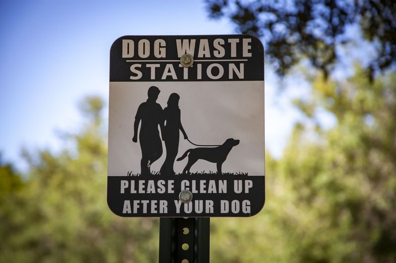 Check Pet Rules Before You Pull Into A Recreation Area