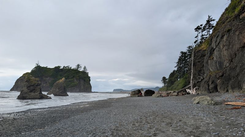 Sniff the Shoreline at Leadbetter Point State Park