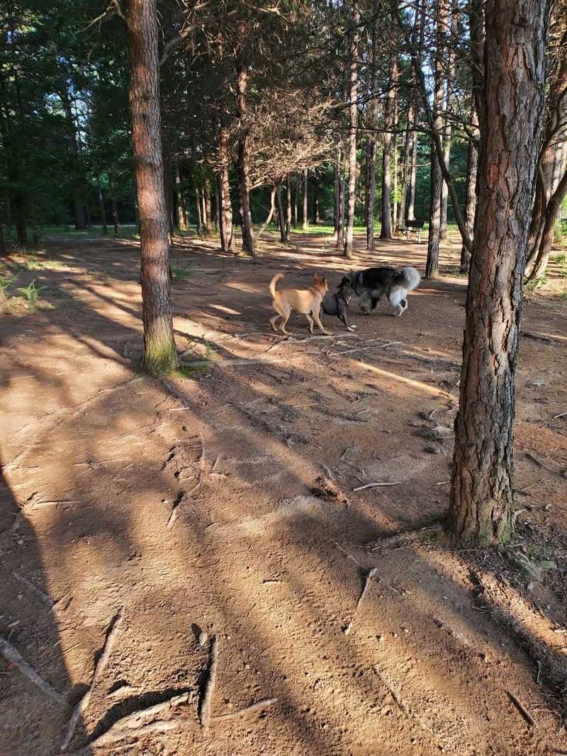 Shuffletown Dog Park, Charlotte