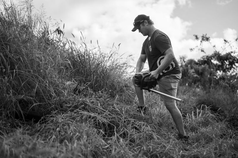 Trim Dense Vegetation and Tall Grass