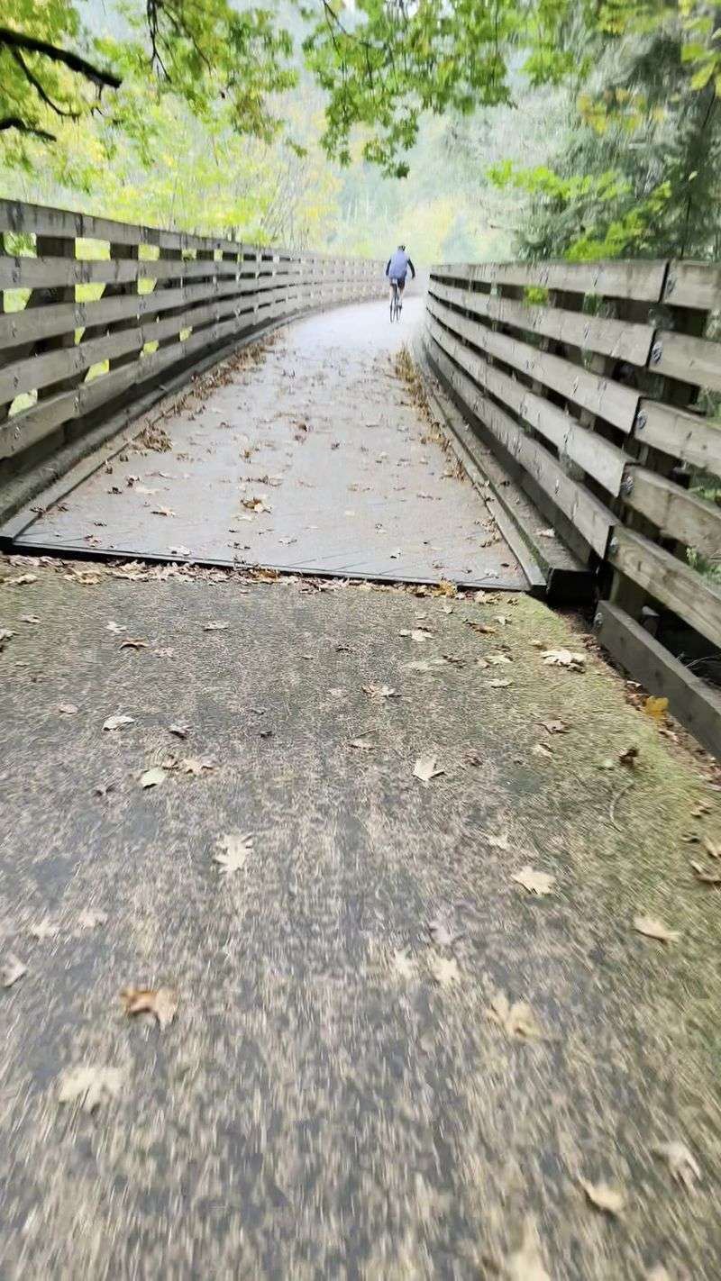 Walk the Banks-Vernonia State Trail