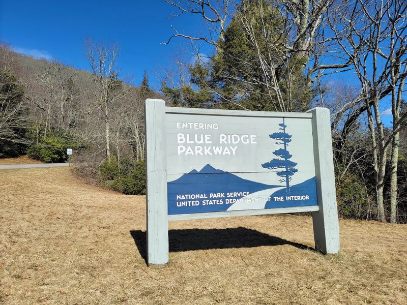 Take a dog-friendly Blue Ridge Parkway road trip