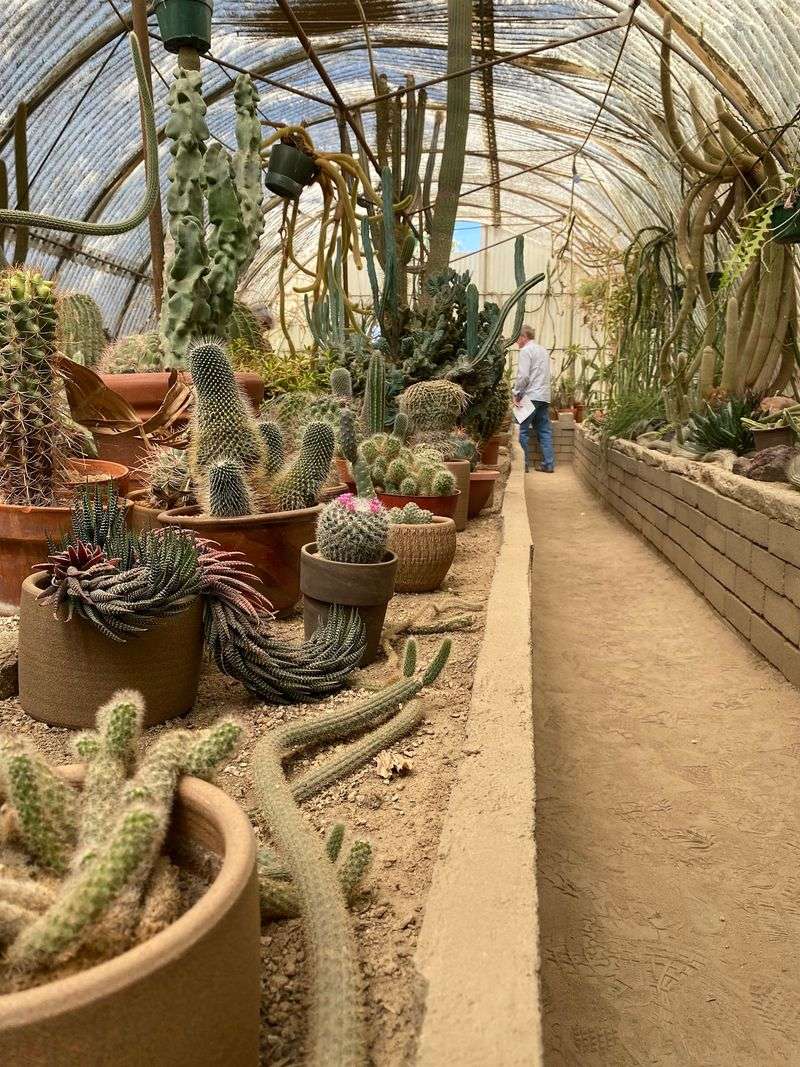 Moorten Botanical Garden - Palm Springs