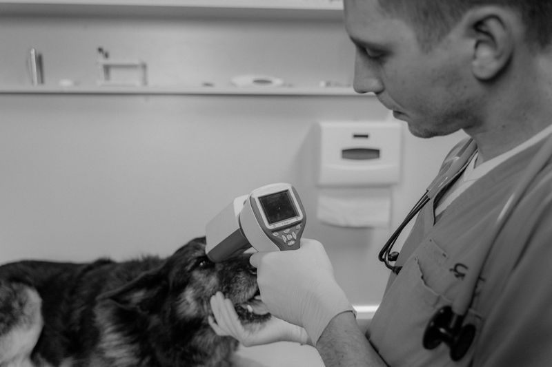 Report Possible Rabies Exposure to Animal Control
