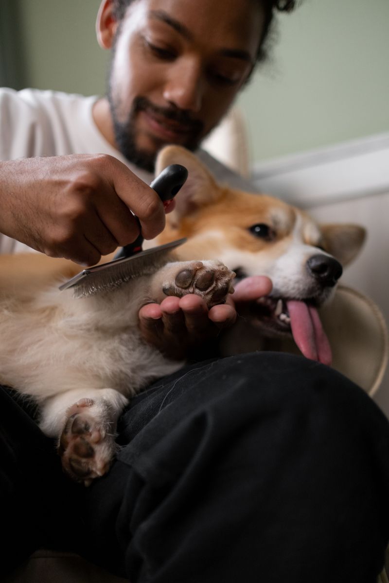 Grooming Can Help Prevent Problems