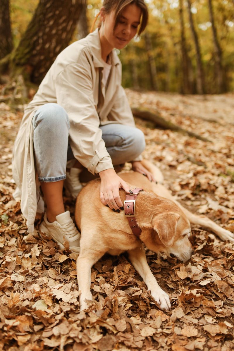 Run A Tick Check After Every Outing