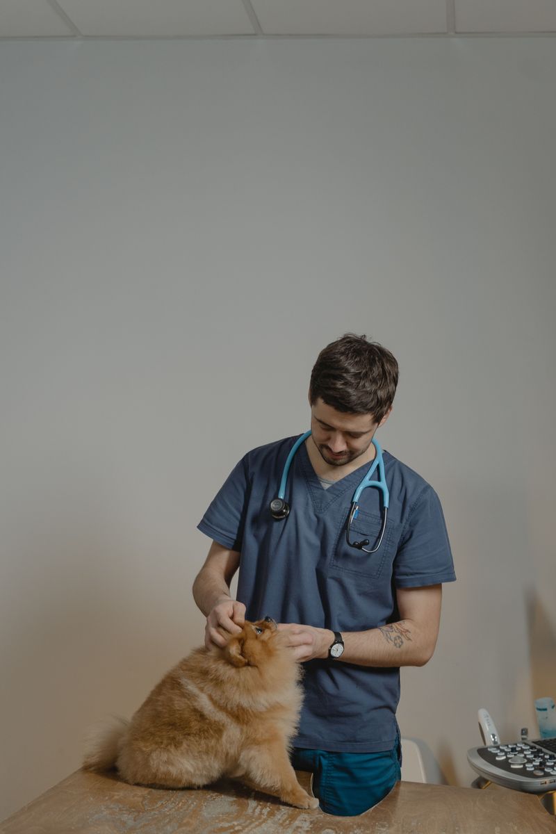 Tell the veterinarian where the quills are located