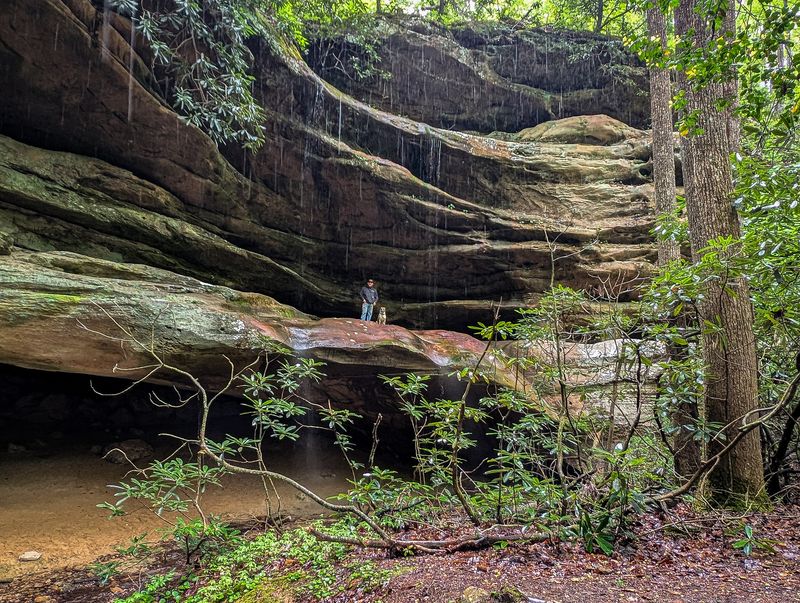 Pickett State Park and Big South Fork Country