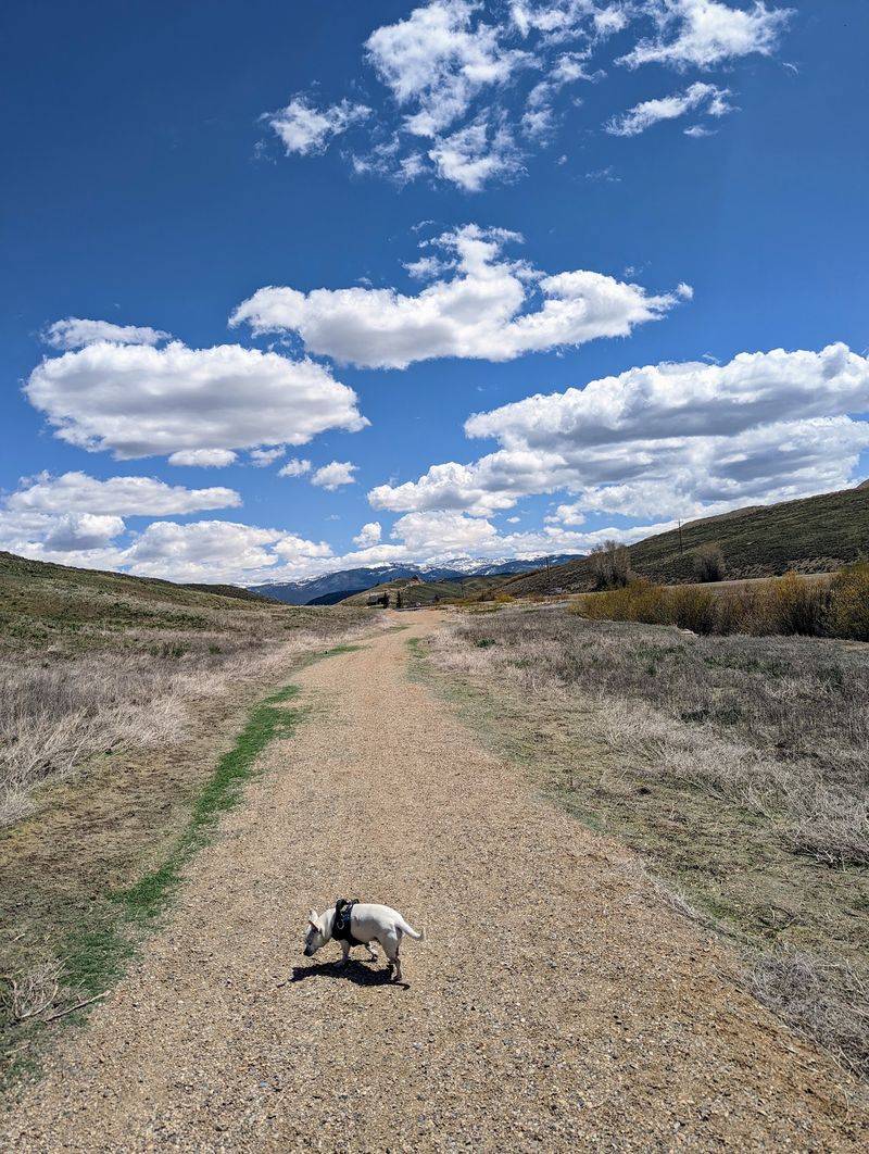 Easygoing Loops Around Granby Trails
