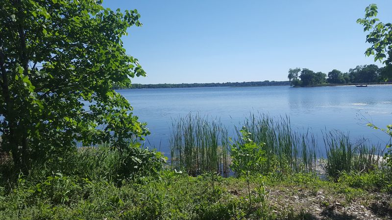 Otter Lake