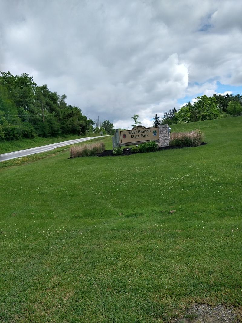 West Branch State Park Dog Park Pond - Ravenna