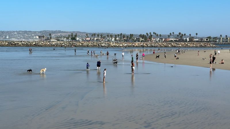 Ocean Beach Dog Beach, San Diego